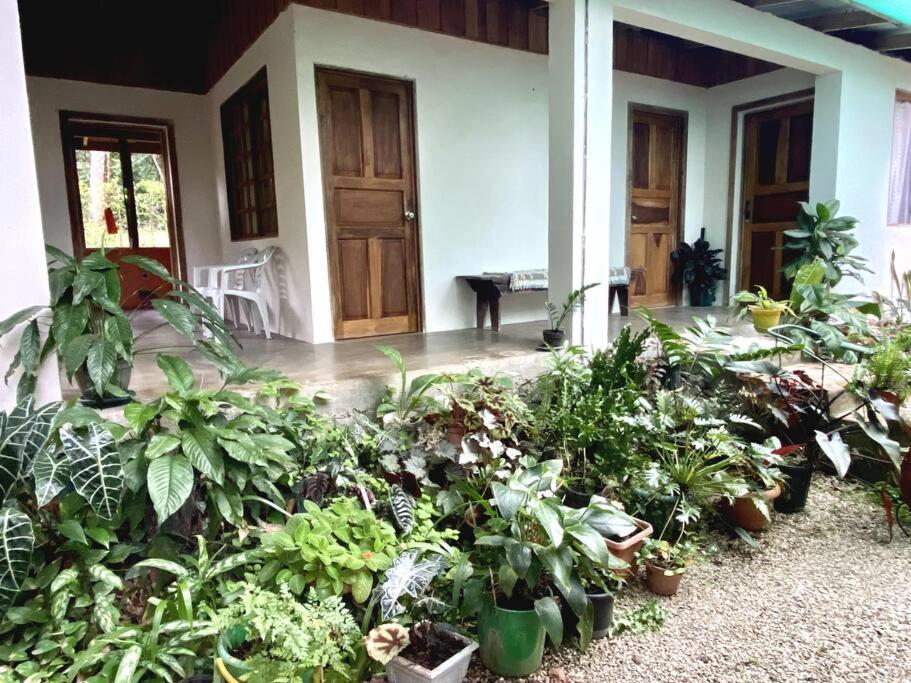 Penzion Casa Briza Nicoya Exteriér fotografie