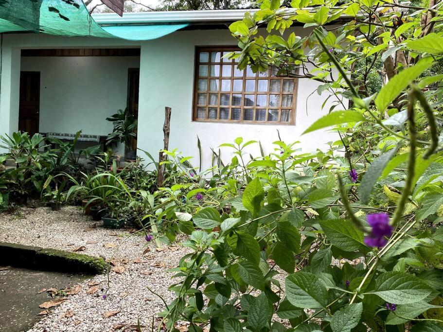 Penzion Casa Briza Nicoya Exteriér fotografie
