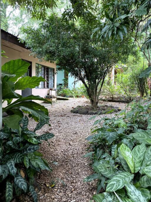 Penzion Casa Briza Nicoya Exteriér fotografie