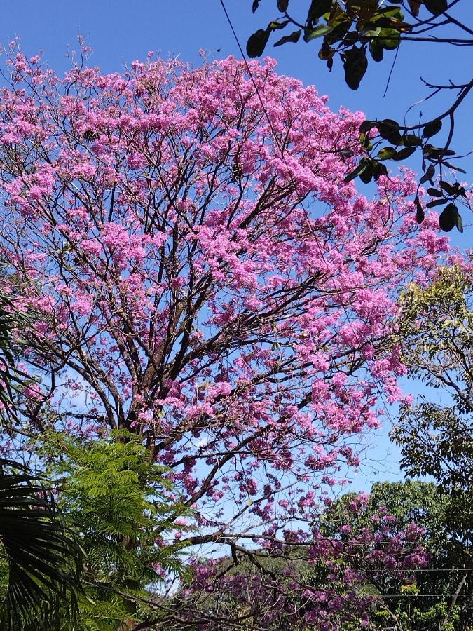 Penzion Casa Briza Nicoya Exteriér fotografie